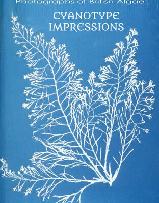 خرید و دانلود نسخه کامل کتاب Anna Atkins Biography and Photographs of British Algae: Cyanotype Impressions
