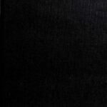 خرید و دانلود نسخه کامل کتاب Annotated Checklist of Bird and Mammal Species of Cocha Cashu, Biological Station, Manu National Park, Peru