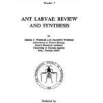 خرید و دانلود نسخه کامل کتاب Ant larvae: review and synthesis