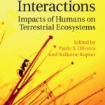 خرید و دانلود نسخه کامل کتاب Ant-plant interactions. Impacts of humans on terrestrial ecosystems