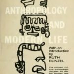 خرید و دانلود نسخه کامل کتاب Anthropology and Modern Life