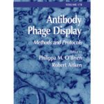 خرید و دانلود نسخه کامل کتاب Antibody Phage Display: Methods and Protocols