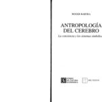 خرید و دانلود نسخه کامل کتاب Antropologia del cerebro