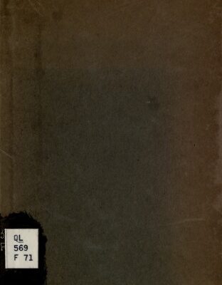 خرید و دانلود نسخه کامل کتاب Ants and some other Insects – An Inquiry into the Psychic Powers of these Animals