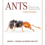 خرید و دانلود نسخه کامل کتاب Ants of Africa and Madagascar. A guide to the genera