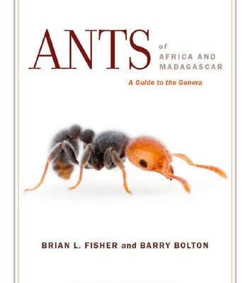 خرید و دانلود نسخه کامل کتاب Ants of Africa and Madagascar. A guide to the genera