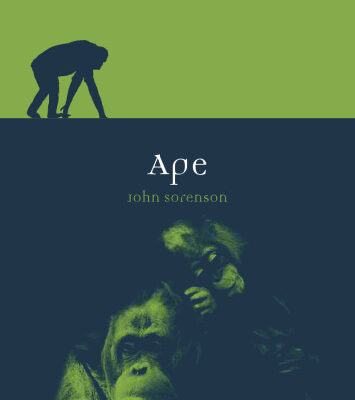 خرید و دانلود نسخه کامل کتاب Ape (Reaktion Books – Animal)