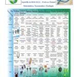 خرید و دانلود نسخه کامل کتاب Apostila de Biologia-Sistemática Taxonomia e Zoologia