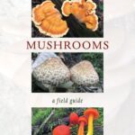 خرید و دانلود نسخه کامل کتاب Appalachian Mushrooms: A Field Guide