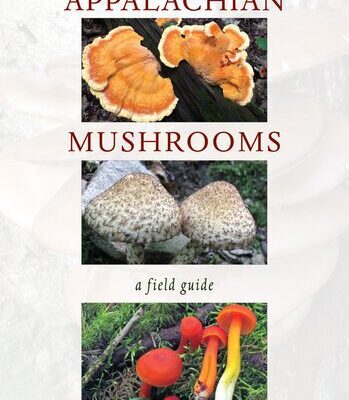 خرید و دانلود نسخه کامل کتاب Appalachian Mushrooms: A Field Guide