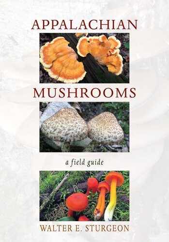 خرید و دانلود نسخه کامل کتاب Appalachian Mushrooms: A Field Guide_68e1123392c75.jpeg خرید و دانلود نسخه کامل کتاب Appalachian Mushrooms: A Field Guide