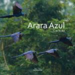 خرید و دانلود نسخه کامل کتاب Arara Azul – Carajás