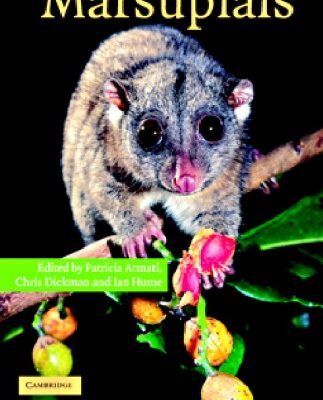 خرید و دانلود نسخه کامل کتاب Armati – marsupials