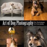 خرید و دانلود نسخه کامل کتاب Art of Dog Photography: Pro Techniques for Everybody