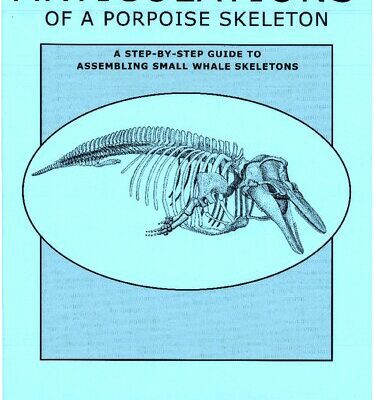 خرید و دانلود نسخه کامل کتاب Articulations of a Porpoise Skeleton: A Step-by-Step Guide to Assembling Small Whale Skeletons