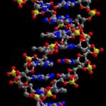 خرید و دانلود نسخه کامل کتاب Artificial Intelligence and Molecular Biology