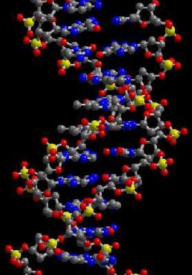 خرید و دانلود نسخه کامل کتاب Artificial Intelligence and Molecular Biology