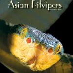 خرید و دانلود نسخه کامل کتاب Asian Pitvipers