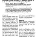 خرید و دانلود نسخه کامل کتاب at all. Taxonomic studies on some leuconostoc-like organisms from fermented sausages: description of a new genus Weissella for the Leuconostoc paramesenteroides group of species