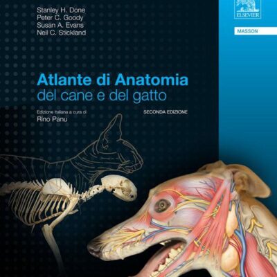 خرید و دانلود نسخه کامل کتاب Atlante di anatomia del cane e del gatto