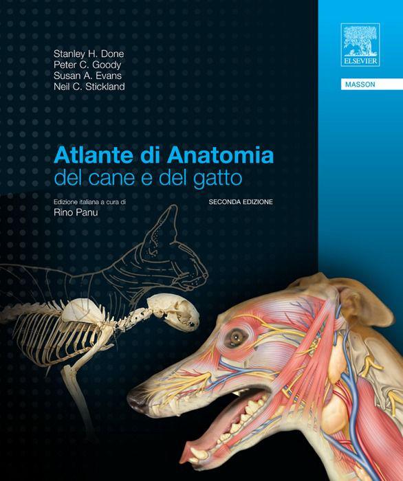 خرید و دانلود نسخه کامل کتاب Atlante di anatomia del cane e del gatto_68e7fda86982a.jpeg خرید و دانلود نسخه کامل کتاب Atlante di anatomia del cane e del gatto