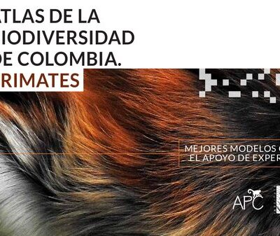 خرید و دانلود نسخه کامل کتاب Atlas de la Biodiversidad de Colombia: Primates. Mejores modelos con el apoyo de expertos