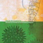 خرید و دانلود نسخه کامل کتاب Atlas de Microorganismos Planctónicos Presentes en los Humedales Andaluces