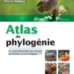 خرید و دانلود نسخه کامل کتاب Atlas de phylogénie – La classification du vivant en fiches et en images: La classification du vivant en fiches et en images
