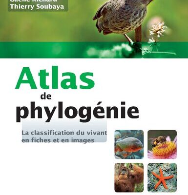 خرید و دانلود نسخه کامل کتاب Atlas de phylogénie – La classification du vivant en fiches et en images: La classification du vivant en fiches et en images