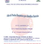 خرید و دانلود نسخه کامل کتاب Atlas de pruebas bioquimicas para identificar bacterias  Spanish
