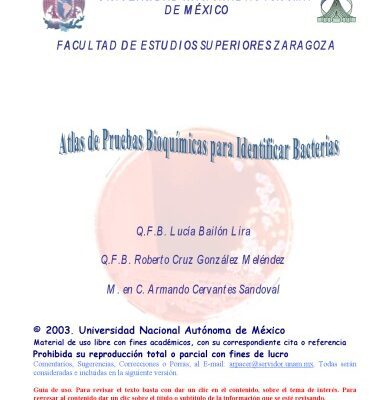 خرید و دانلود نسخه کامل کتاب Atlas de pruebas bioquimicas para identificar bacterias  Spanish