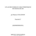 خرید و دانلود نسخه کامل کتاب Atlas des fossiles caractéristiques de Madagascar. Fasc.5. (Kimmeridgien). Rép. Malgache Serv. Géol. Tananarive