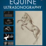 خرید و دانلود نسخه کامل کتاب Atlas of Equine Ultrasonography