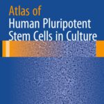 خرید و دانلود نسخه کامل کتاب Atlas of Human Pluripotent Stem Cells in Culture