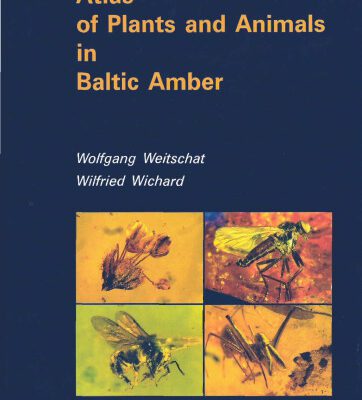 خرید و دانلود نسخه کامل کتاب Atlas of plants and animals in Baltic amber
