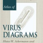 خرید و دانلود نسخه کامل کتاب Atlas of Virus Diagrams