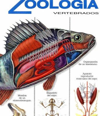 خرید و دانلود نسخه کامل کتاب Atlas Tematico de Zoologia Vertebrados