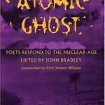 خرید و دانلود نسخه کامل کتاب Atomic Ghost