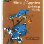 خرید و دانلود نسخه کامل کتاب Audubon’s Birds of America Coloring Book