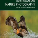 خرید و دانلود نسخه کامل کتاب Australasian Nature Photography 08: ANZANG Eighth Collection