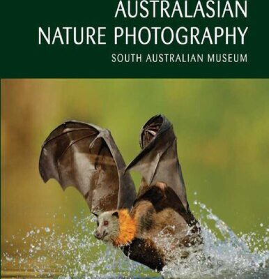 خرید و دانلود نسخه کامل کتاب Australasian Nature Photography 08: ANZANG Eighth Collection
