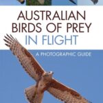 خرید و دانلود نسخه کامل کتاب Australian Birds of Prey in Flight: A Photographic Guide