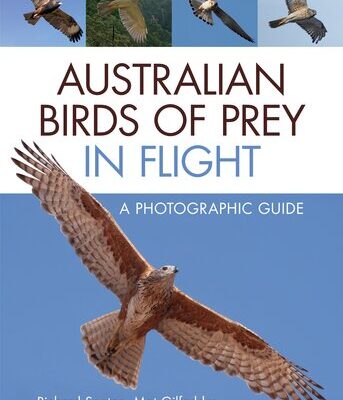 خرید و دانلود نسخه کامل کتاب Australian Birds of Prey in Flight: A Photographic Guide