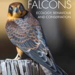 خرید و دانلود نسخه کامل کتاب Australian Falcons: Ecology, Behaviour and Conservation