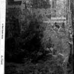 خرید و دانلود نسخه کامل کتاب Australian rainforests in New South Wales; volume 2