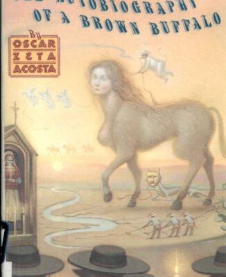 خرید و دانلود نسخه کامل کتاب Autobiography of a Brown Buffalo, 1989-07