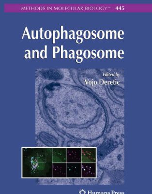 خرید و دانلود نسخه کامل کتاب Autophagosome and Phagosome
