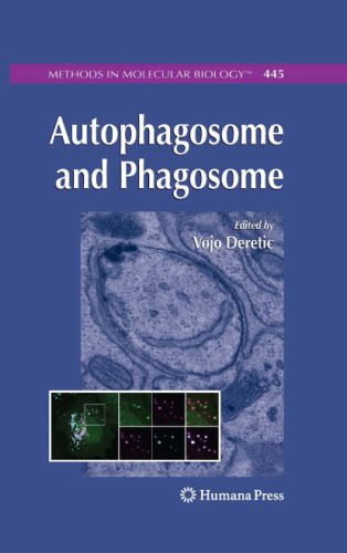 خرید و دانلود نسخه کامل کتاب Autophagosome and Phagosome_68e665c5592a4.jpeg خرید و دانلود نسخه کامل کتاب Autophagosome and Phagosome