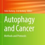 خرید و دانلود نسخه کامل کتاب Autophagy and Cancer: Methods and Protocols