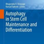 خرید و دانلود نسخه کامل کتاب Autophagy in Stem Cell Maintenance and Differentiation